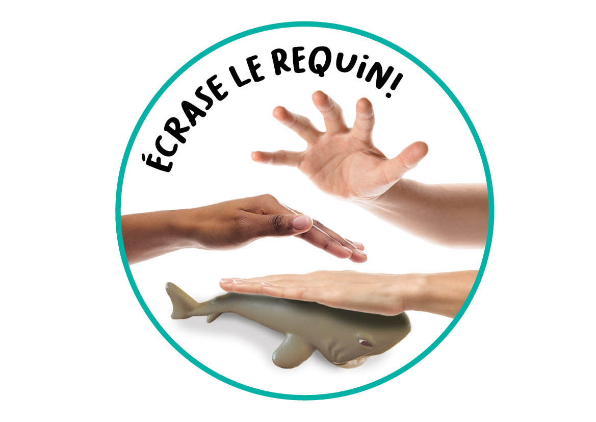 250702-FlexiQ-FXG 104-Squish It!-webshop-NL-LR13 Squish-It! von Flexiq Games: die Spielregeln