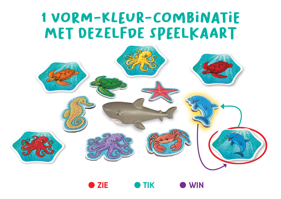 250702-FlexiQ-FXG 104-Squish It!-webshop-NL-LR9 Squish-It! van Flexiq Games: maak de juiste combinatie